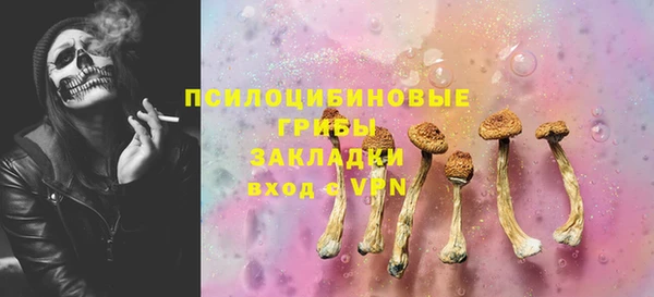 PSILOCYBIN Инта