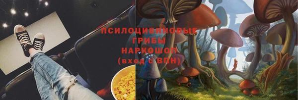 прущий лед Верея
