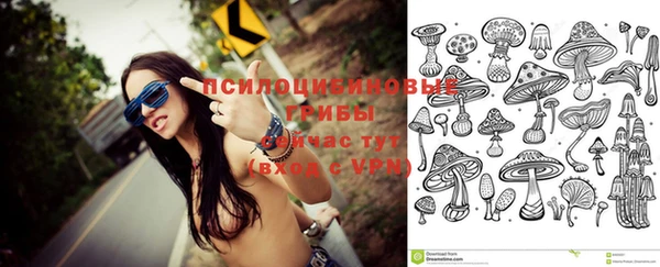 сатива Волоколамск