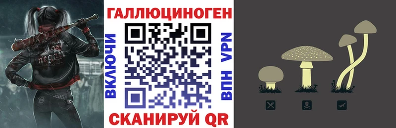 Галлюциногенные грибы Psilocybe  Змеиногорск 